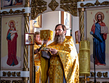 Литургия в Покровском кафедральном соборе города Шахты в день памяти бессребреников и чудотворцев Космы и Дамиана