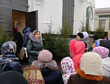 Паломническим отделом Шахтинской епархии была организована и проведена поездка по святым местам г. Ростова-на-Дону