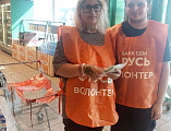 В Новошахтинске прошел традиционный продовольственный марафон «Корзина доброты»