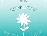 В Донском храме Новошахтинска стартовала акция «Белый Цветок» в помощь раненым воинам СВО