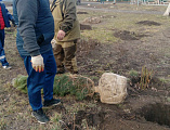 На приходе храма святого Равноапостольного князя Владимира облагораживается прихрамовая территория