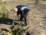 На приходе храма святого Равноапостольного князя Владимира облагораживается прихрамовая территория