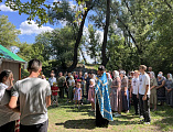 В праздник Смоленской иконы Божией Матери в Боковском районе состоялся крестный ход