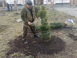 На приходе храма святого Равноапостольного князя Владимира облагораживается прихрамовая территория