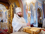 Епископ Шахтинский и Миллеровский Симон и митрополит Саратовский и Вольский Игнатий совершили Божественную литургию в Свято-Троицком кафедральном соборе Саратова
