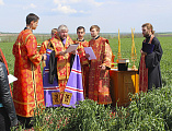 Преосвященнейший епископ Симон совершил «Чин освящения насеянных полей» в Октябрьском сельском районе Ростовский области