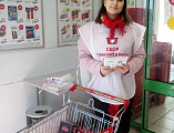 Благотворительная акция «Корзина Доброты» прошла в Александровск-Грушевском благочинии