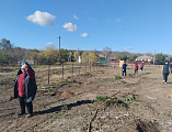 Фруктовый сад высажен силами прихода храма Архангела Михаила с. Первомайское 
