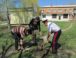 На территории Родионово-Несветайского поселения прошел День древонасаждений