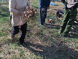 Субботник на кладбище Первомайского сельского поселения