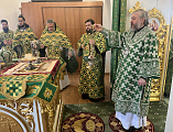 В праздник Пятидесятницы Преосвященнейший епископ Симон совершил Божественную литургию в храме Святой Троицы города Каменск-Шахтинский