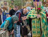 Крестный ход в День Святой Троицы в станице Вешенской