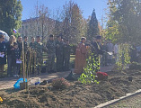 Состоялось древонасаждение на территории Шахтинского Я.П. Бакланова казачьего кадетского корпуса