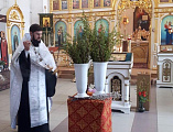 Волонтеры г. Каменск-Шахтинский раздали прихожанам освященные веточки вербы в праздник Входа Господня в Иерусалим