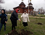 В честь 76-летия Победы в Великой Отечественной войне по благословению иерея Андрея Павленкова была высажена аллея к братской могиле в хут. Красном