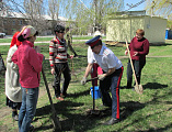 На территории Родионово-Несветайского поселения прошел День древонасаждений