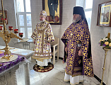 Епископ Шахтинский и Миллеровский Симон совершил Божественную Литургию в храме великомученика Пантелеимона города Миллерово