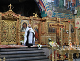 Епископ Шахтинский и Миллеровский Симон совершил таинство Крещения над первенцем семьи старшего иподиакона