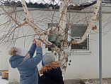 Воспитанники воскресной школы Донецка помогают птицам пережить зиму