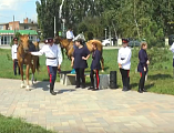 В Миллерово прошла церемония посажения казачат на коня