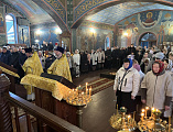 Епископ Шахтинский и Миллеровский Симон возглавил Божественную литургию в храме святителя Николая Чудотворца станицы Багаевской