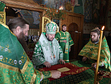 В День Святого Духа В Покровском кафедральном соборе г. Шахты состоялось праздничное богослужение архиерейским чином
