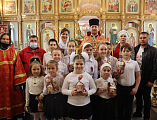 Воспитанники воскресной школы храма Донской иконы Богородицы г. Новошахтинска поздравили с Пасхой и Днем Победы настоятеля и прихожан