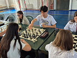 XI Пасхальный шахматный фестиваль состоялся в станице Багаевской   