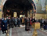 Иерей Александр Теличкин совершил чтение предначинательных молитв к чтению Псалтири прихожанами Покровского кафедрального собора