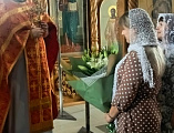 Поздравления с 20-летием диаконской хиротонии принял настоятель Донского храма протоиерей Роман Амплеев