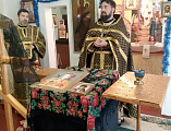 В храме Преображения Господня села Лысогорка совершили Литургию в день памяти святителя Луки Крымского