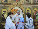 В Троицкую родительскую субботу Преосвященнейший епископ Симон совершил Божественную литургию в храме Архистратига Михаила г. Новошахтинска