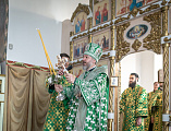 В праздник Входа Господня в Иерусалим епископ Симон совершил богослужение в Покровском кафедральном соборе города Шахты