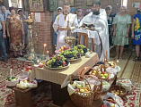 Праздничная Божественная литургия и молебен на освящение воды и фруктовых плодов в слободе Кашары