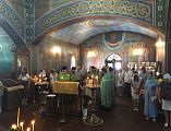 День семьи, любви и верности отметили в станице Багаевской