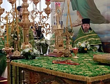Руководитель епархиального отдела по взаимодействию с казачеством принял участие в богослужении в Свято-Троицком храме города Батайска