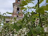 В храме святителя Николая в ст. Еланской прошел престольный праздник