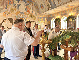 Совет атаманов Всевеликого войска Донского в станице Боковской