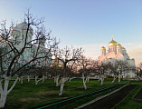 Состоялась паломническая поездка в  Дивеево, Муром и Задонск