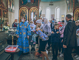 Покровский кафедральный собор города Шахты отметил престольный праздник
