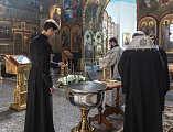 Епископ Шахтинский и Миллеровский Симон совершил таинство Крещения