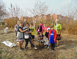 Фруктовый сад заложили на территории храма Донской иконы Божией г. Новошахтинска