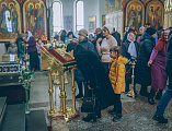 В праздник Сретения Господня Преосвященнейший епископ Симон совершил Божественную литургию в Покровском кафедральном соборе г. Шахты