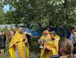 Крестный ход в 13 км состоялся в Миллеровском районе в честь святителя Тихона Задонского   