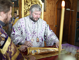 Епископ Симон совершил Божественную литургию и освящение меда в кафедральном соборе Шахтинской епархии