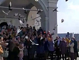 Голуби над храмом в честь Донской иконы Божией Матери