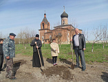 На территории храма Покрова Пресвятой Богородицы сл. Никольской прошла высадка саженцев