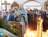 Голуби над храмом Донской иконы Божией Матери