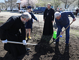Епископ Симон принял участие в весеннем Дне древонасаждения в городе Миллерово
