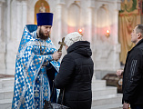 Божественная литургия в Покровском кафедральном соборе в праздник в честь образа Божией Матери «Утоли моя печали»